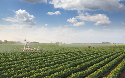 Ut enim ad minima veniam.